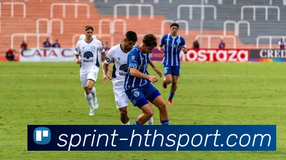 hth体育平台生态图