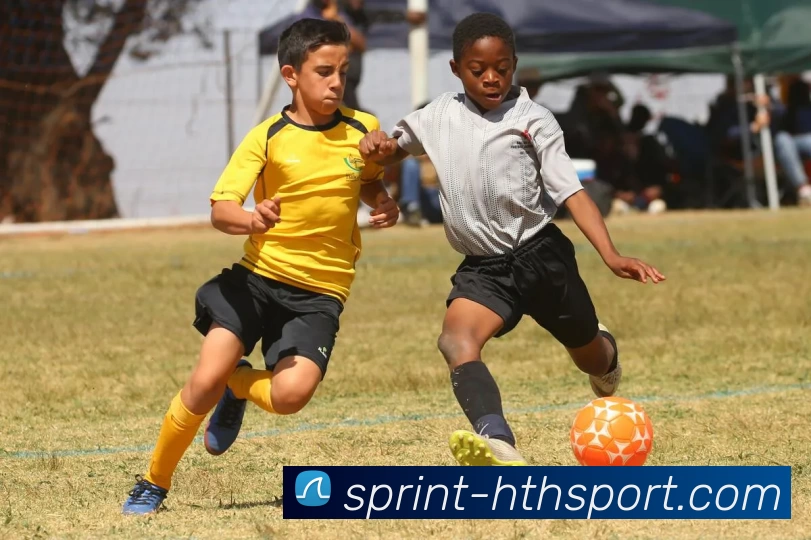 hth体育APP 封面图